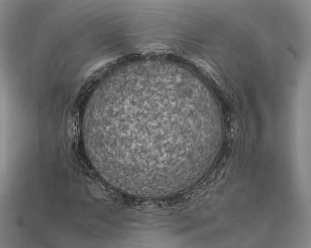 X0000115191063200911121817