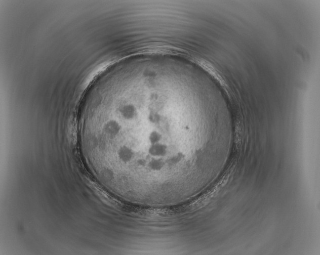 X0000115191067200911121817