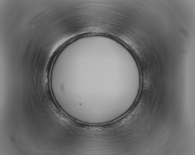 X0000115191070200911121817