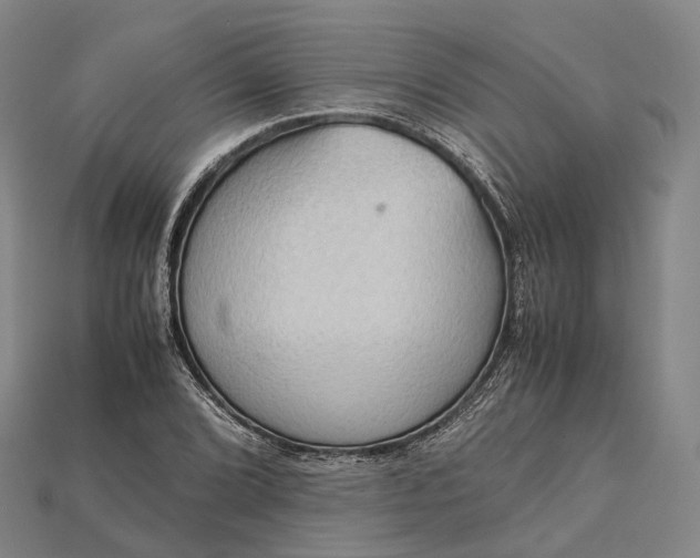 X0000115191072200911121817