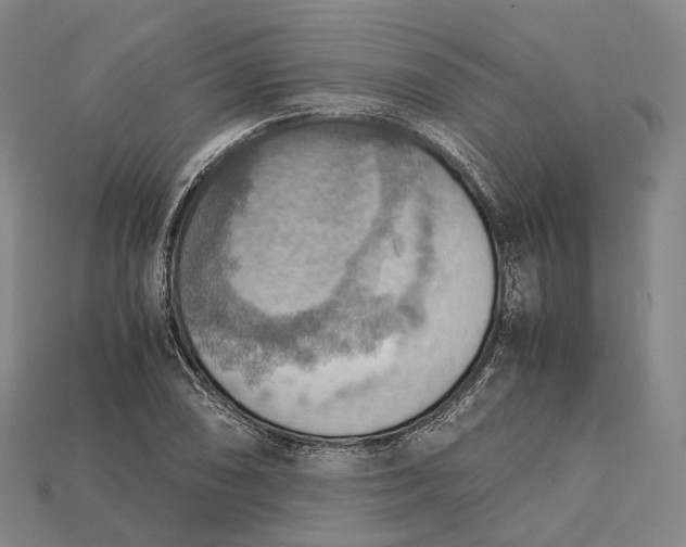X0000115191074200911121817