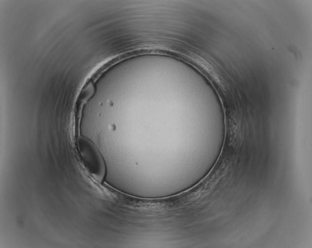 X0000115191076200911121817