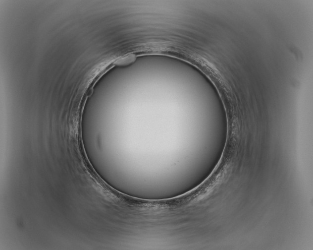 X0000115191081200911121817