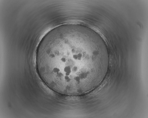 X0000115191083200911121817