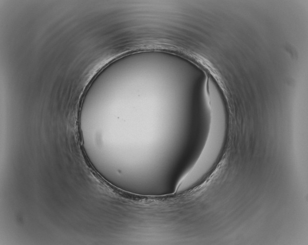 X0000115191089200911121817