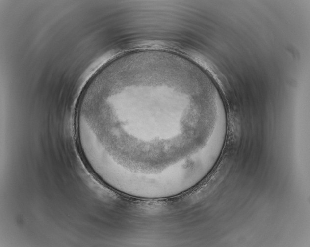 X0000115191090200911121817