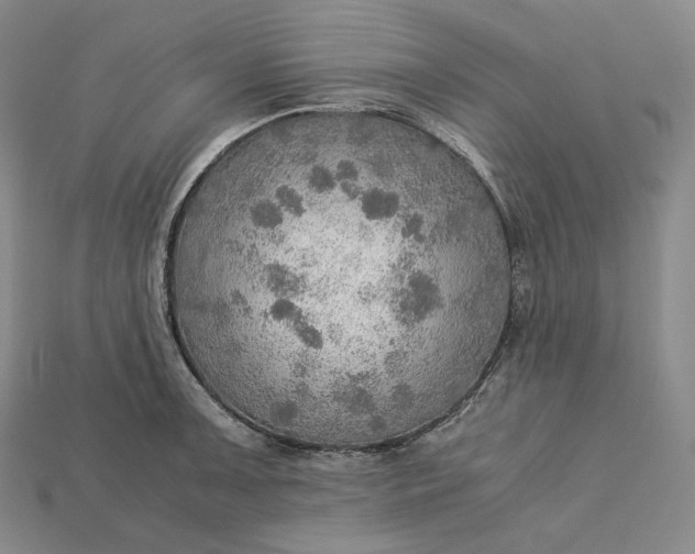 X0000115191091200911121817