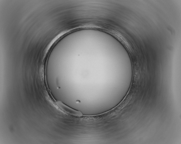 X0000115191092200911121817