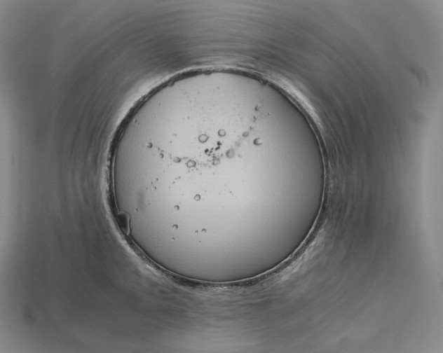 X0000115191093200911121817