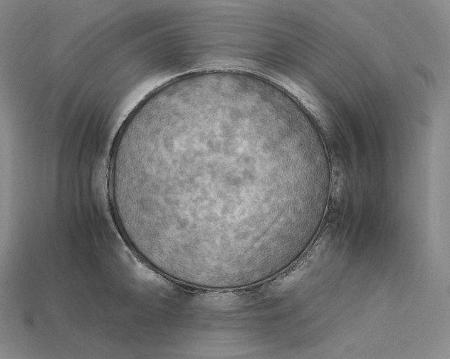 X0000115191094200911121817