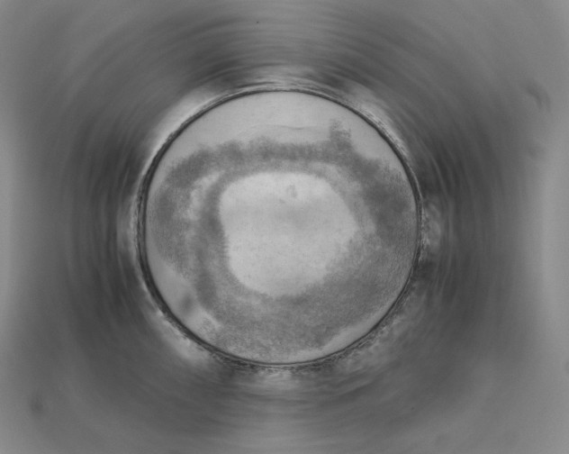 X0000115191098200911121817