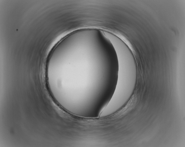 X0000115191101200911121817