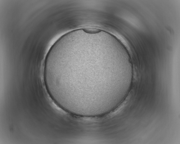 X0000115191102200911121817