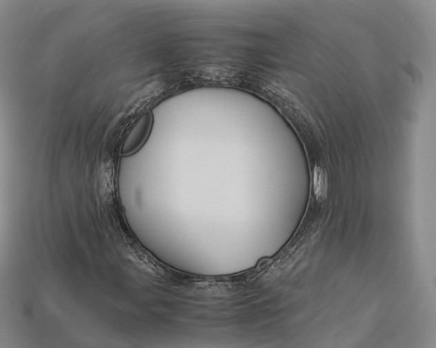 X0000115191107200911121816