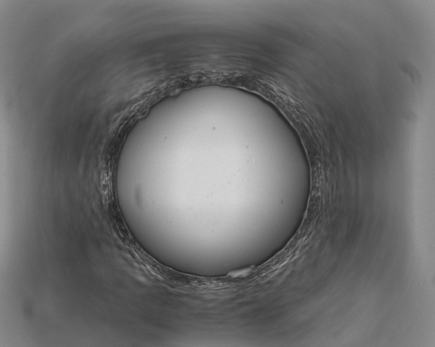 X0000115191109200911121816