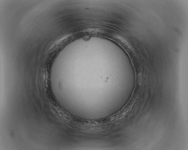 X0000115191111200911121816
