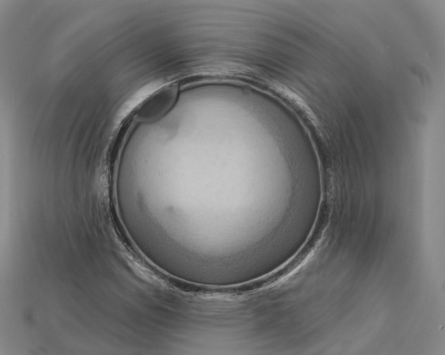 X0000115191114200911121816