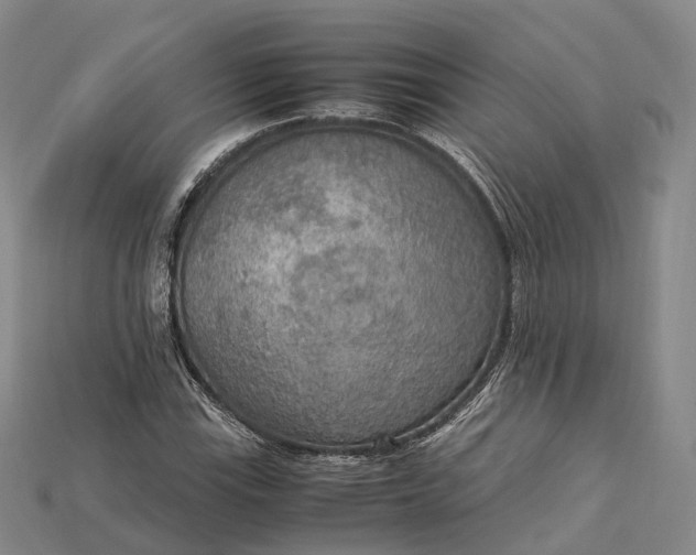 X0000115191115200911121816