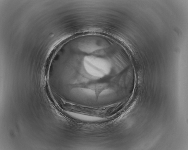 X0000115191117200911121816