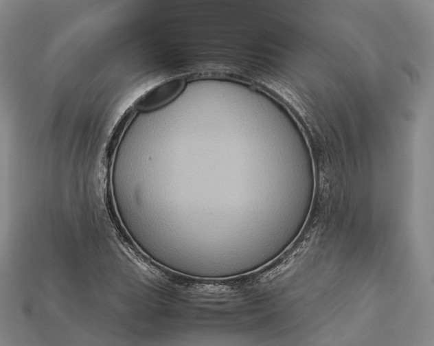 X0000115191119200911121816