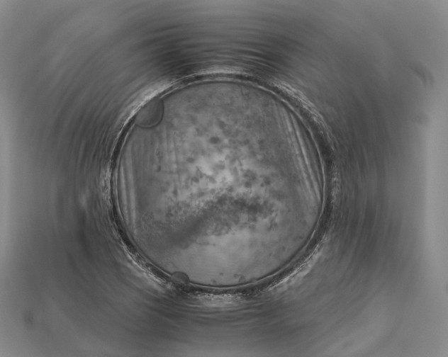X0000115191121200911121816