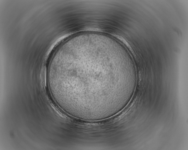 X0000115191123200911121816
