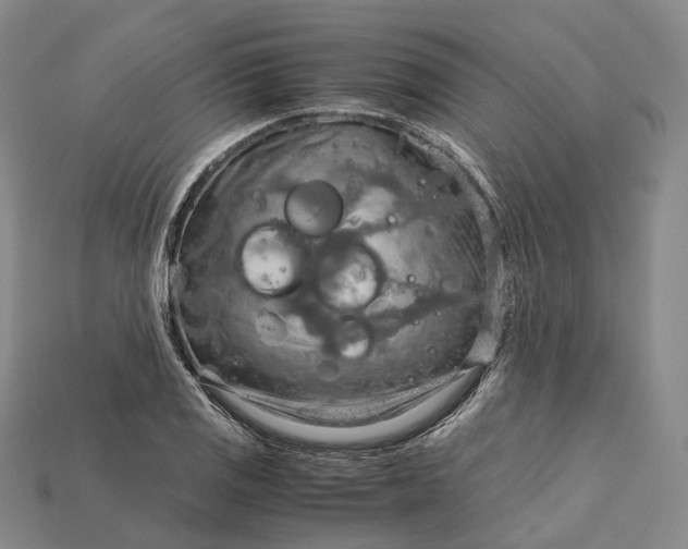 X0000115191125200911121816