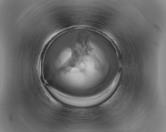 X0000115191127200911121816