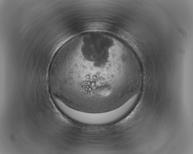 X0000115191129200911121816