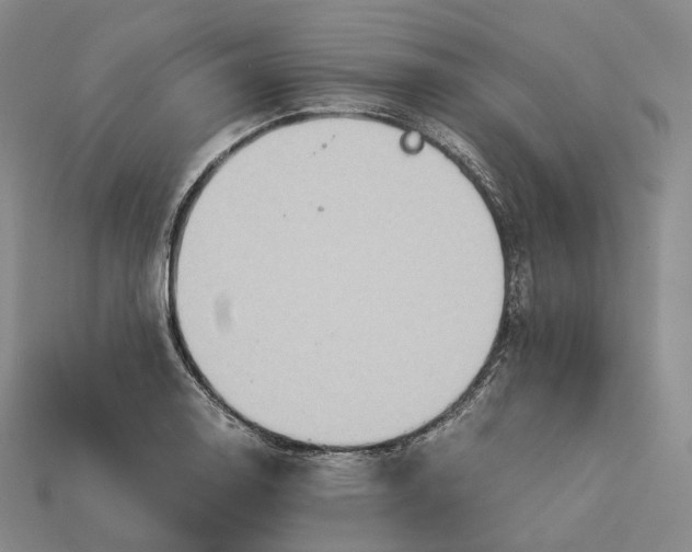 X0000115191130200911121816