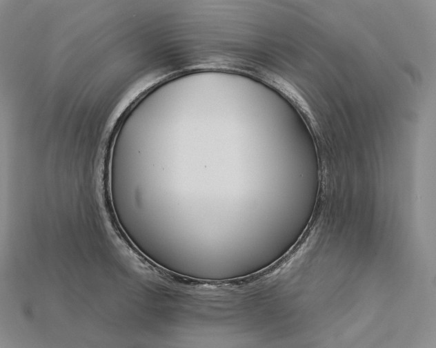 X0000115191138200911121817