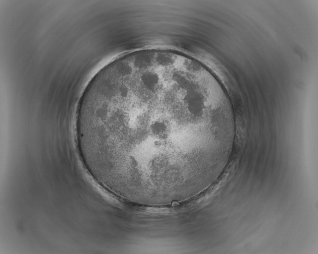 X0000115191142200911121817