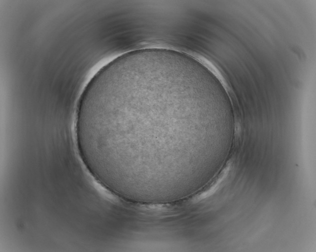 X0000115191149200911121817