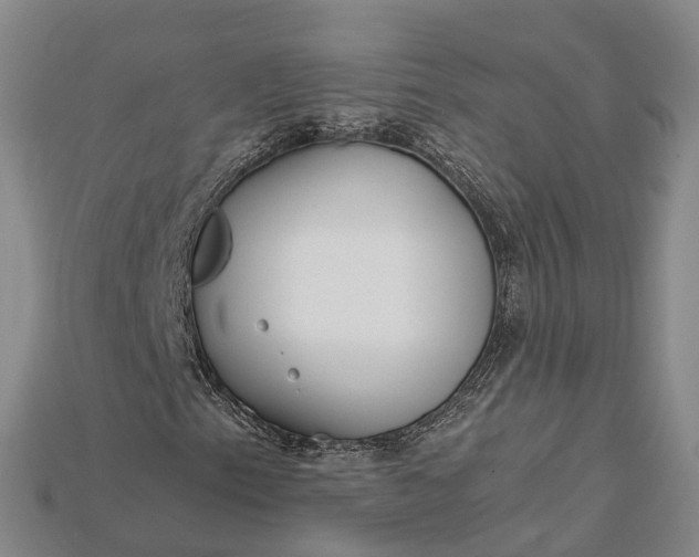 X0000115191153200911121816
