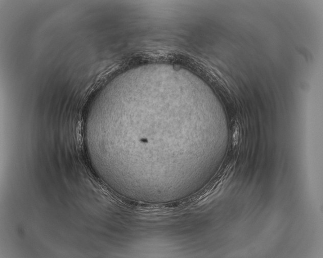 X0000115191156200911121816