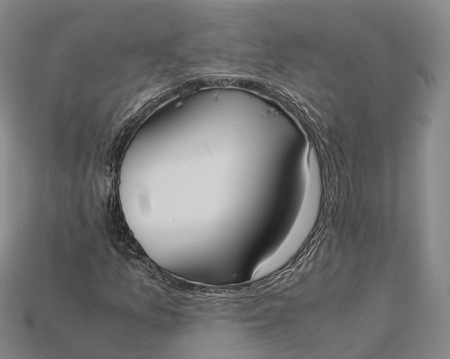 X0000115191157200911121816
