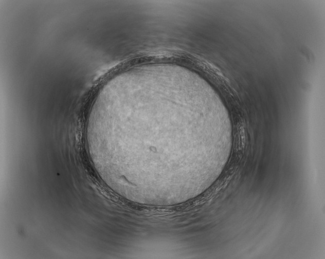 X0000115191158200911121816