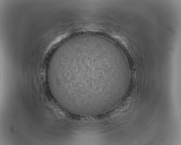 X0000115191159200911121816