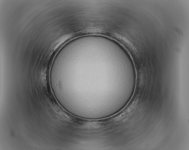 X0000115191162200911121816