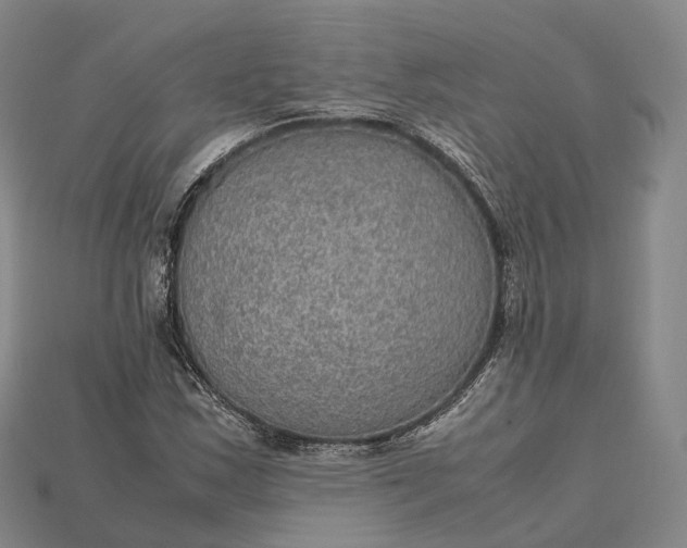 X0000115191163200911121816