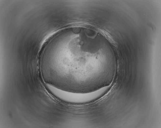 X0000115191164200911121816