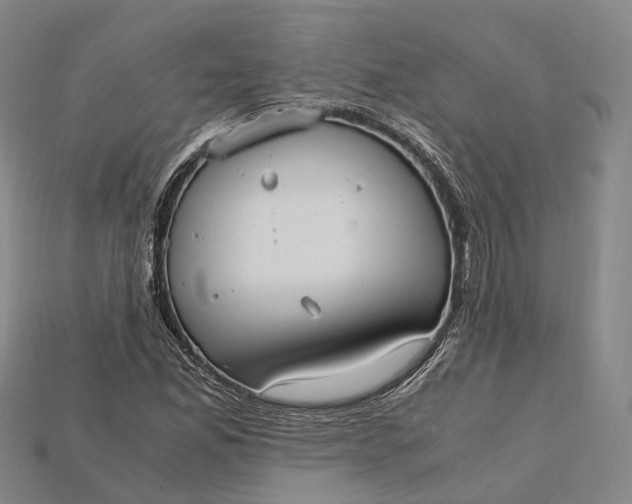 X0000115191165200911121816