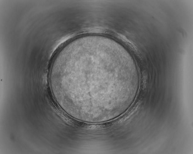 X0000115191166200911121816