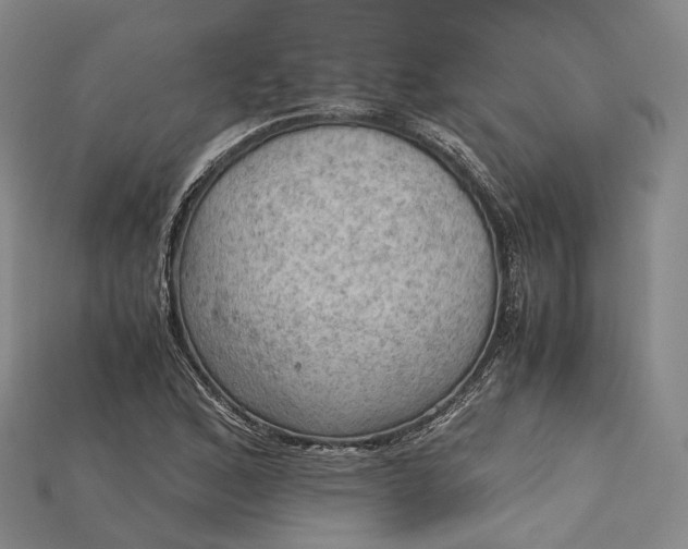 X0000115191168200911121816