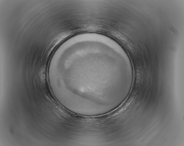 X0000115191170200911121816