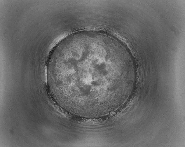 X0000115191171200911121816