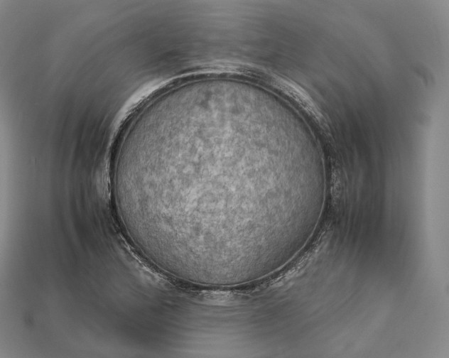 X0000115191172200911121816