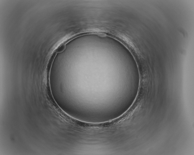 X0000115191173200911121816