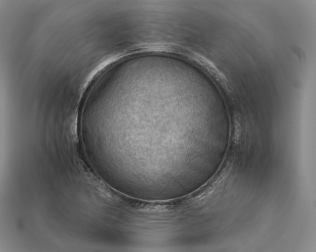 X0000115191174200911121816
