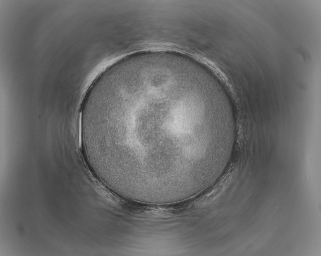 X0000115191175200911121816